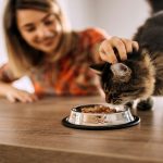 article_32492662_featured_1776861041