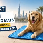 Best Dog Cooling Mats Tested During Dubai Summer Heat