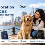 Pet Relocation Services for International Students in Boston: What You Actually Need to Know