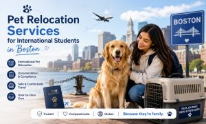 International Studentss